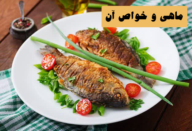 ماهی و خواص آن از دیدگاه مکتب طب ایرانی