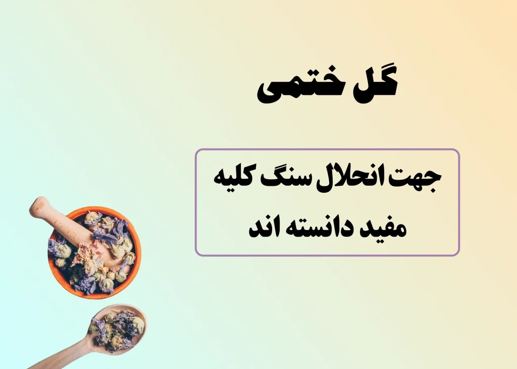 گل ختمی و سنگ کلیه